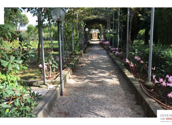 Alle soglie del Capitolo Generale