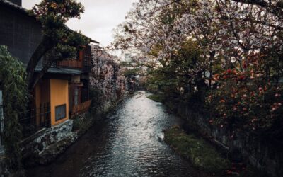 Pellegrini di Speranza sulle orme dei Martiri Giapponesi