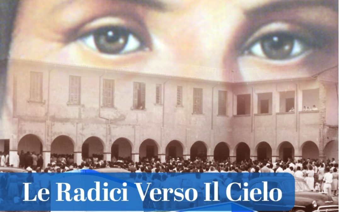 VitaPiù 28 – Le radici verso il cielo – gennaio/aprile 2026