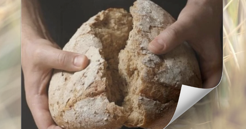 Gesù moltiplica nei nostri deserti
